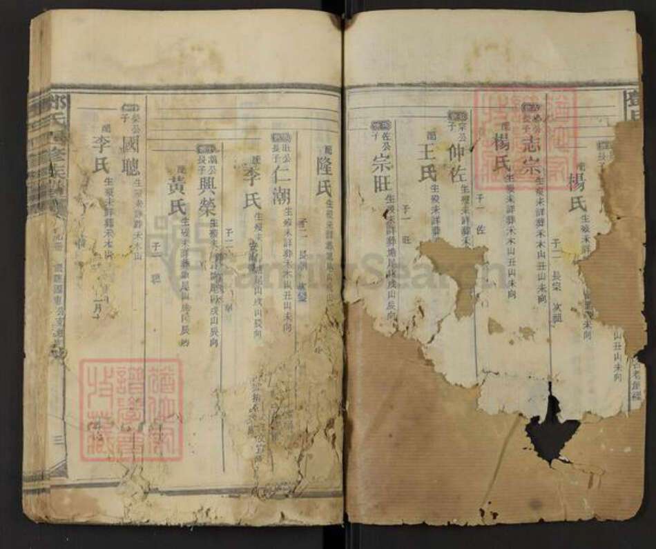 福建省南平市邵武市邓氏族谱-邓氏四修族谱.pdf电子版预览图2