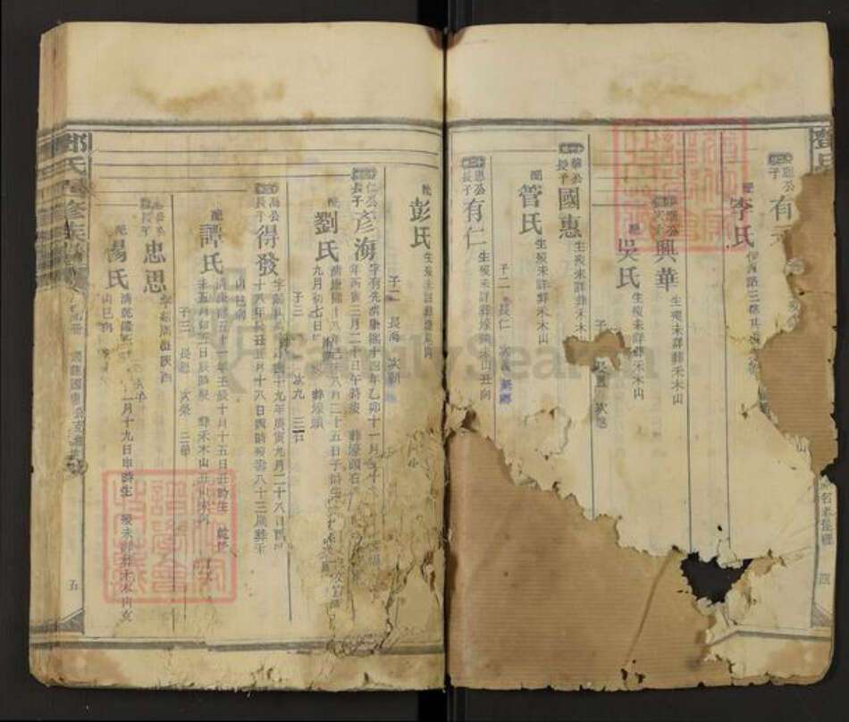 福建省南平市邵武市邓氏族谱-邓氏四修族谱.pdf电子版预览图3