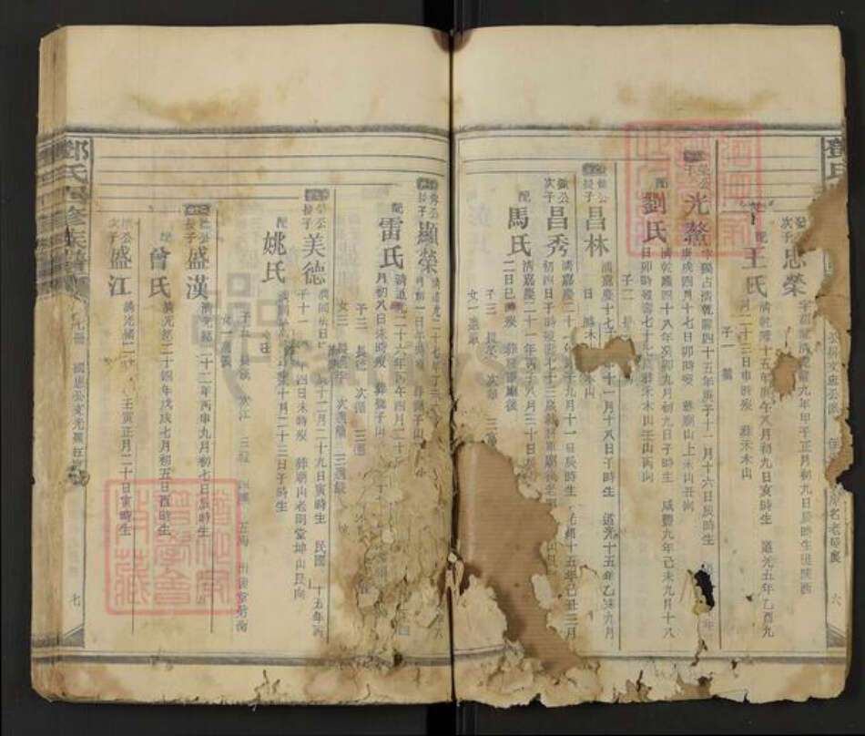 福建省南平市邵武市邓氏族谱-邓氏四修族谱.pdf电子版预览图4