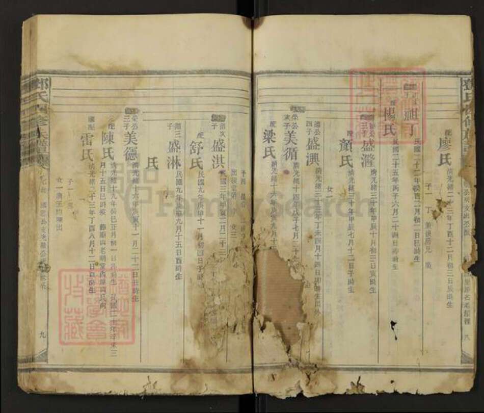 福建省南平市邵武市邓氏族谱-邓氏四修族谱.pdf电子版预览图5