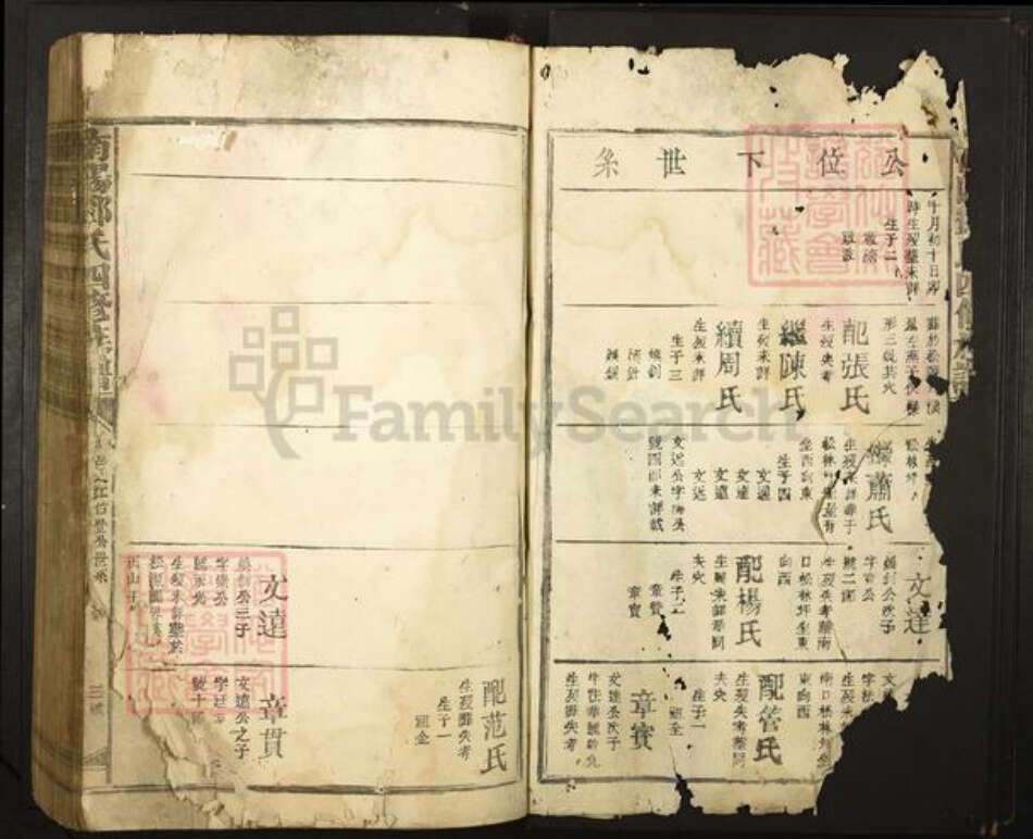 河南省南阳市邓氏族谱-南阳邓氏四修族谱.pdf电子版预览图2