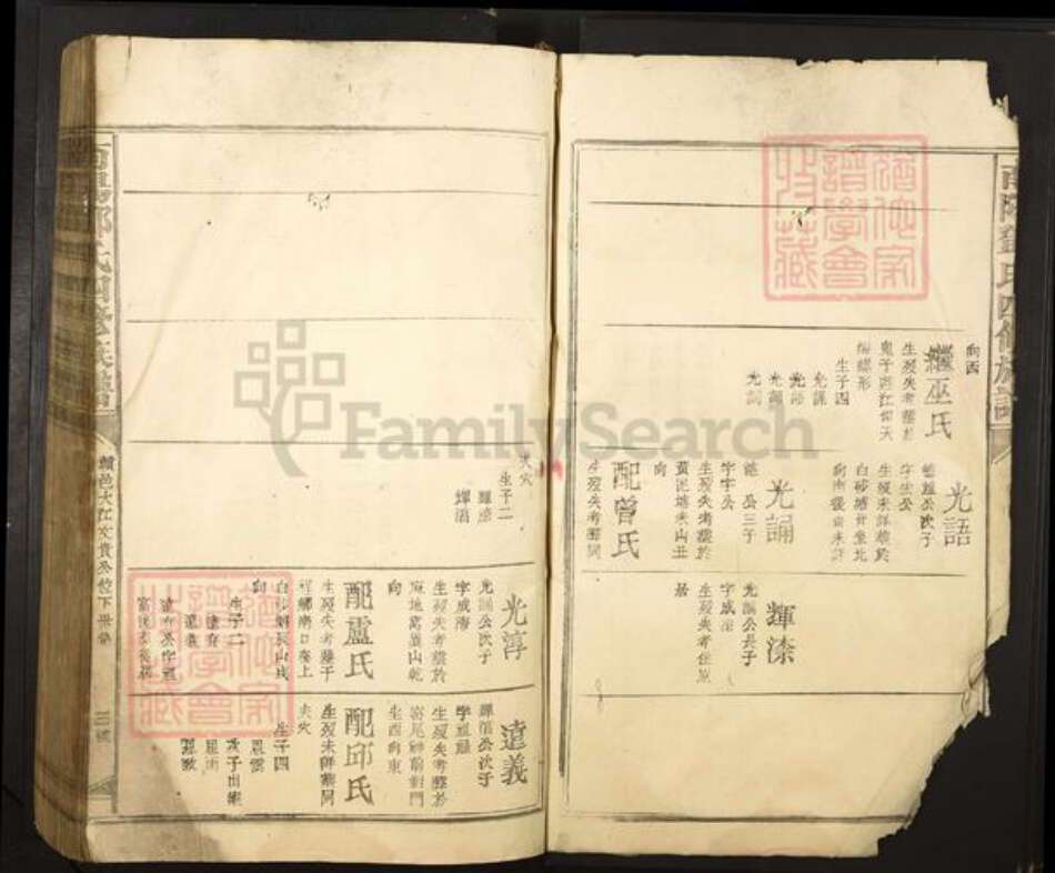 河南省南阳市邓氏族谱-南阳邓氏四修族谱.pdf电子版预览图5