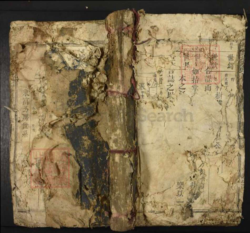 江西省吉安市新干县邓氏族谱-扶乐塘邉邓氏七修族谱.pdf电子版缩略图