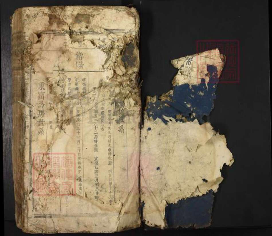 江西省吉安市新干县邓氏族谱-扶乐塘邉邓氏七修族谱.pdf电子版预览图2