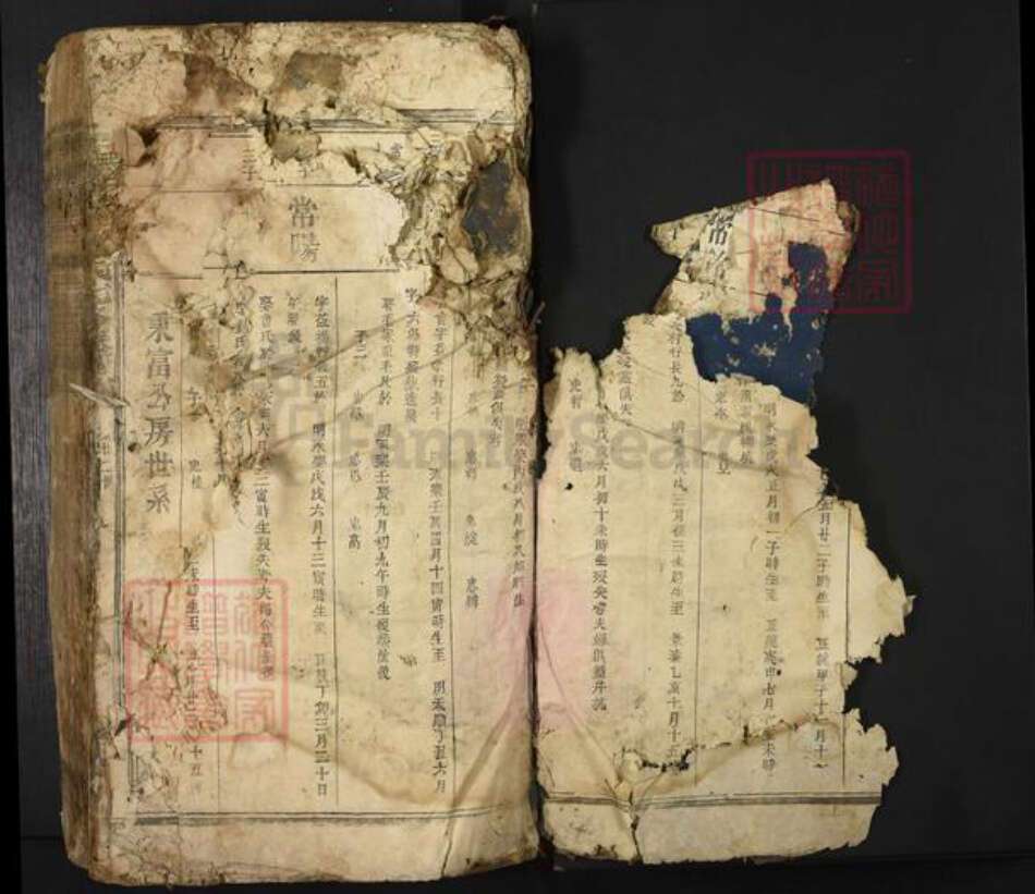 江西省吉安市新干县邓氏族谱-扶乐塘邉邓氏七修族谱.pdf电子版预览图3