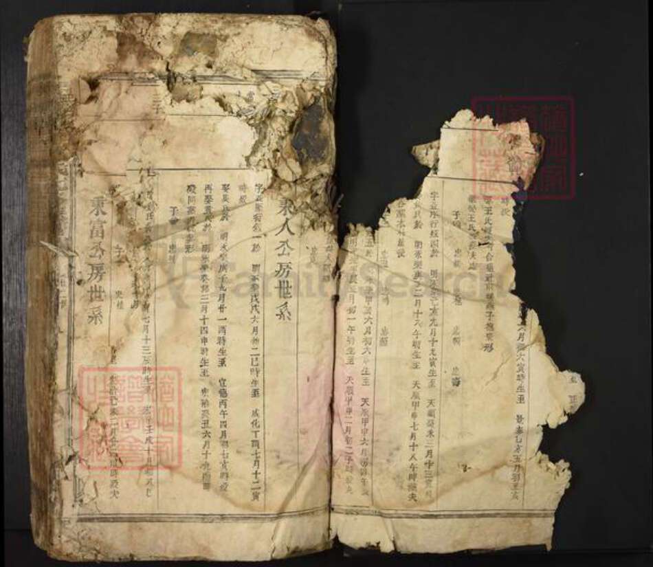 江西省吉安市新干县邓氏族谱-扶乐塘邉邓氏七修族谱.pdf电子版预览图4