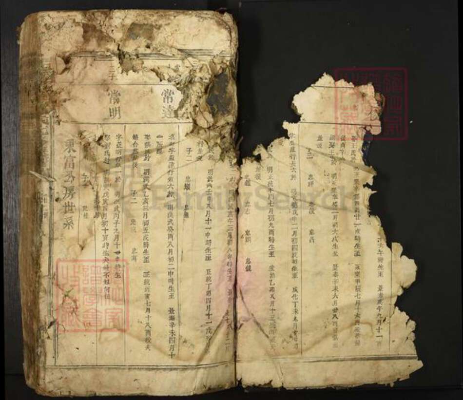 江西省吉安市新干县邓氏族谱-扶乐塘邉邓氏七修族谱.pdf电子版预览图5