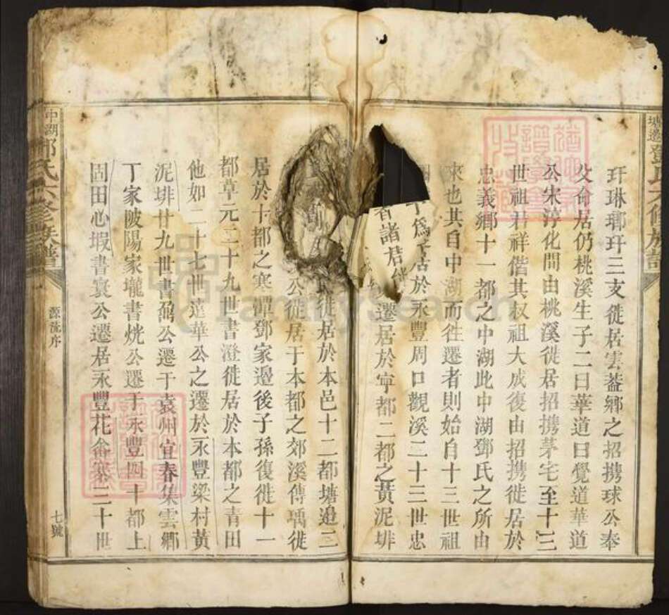 江西省抚州市黎川县宏村镇邓氏族谱-中湖塘边邓氏六修族谱.pdf电子版预览图3