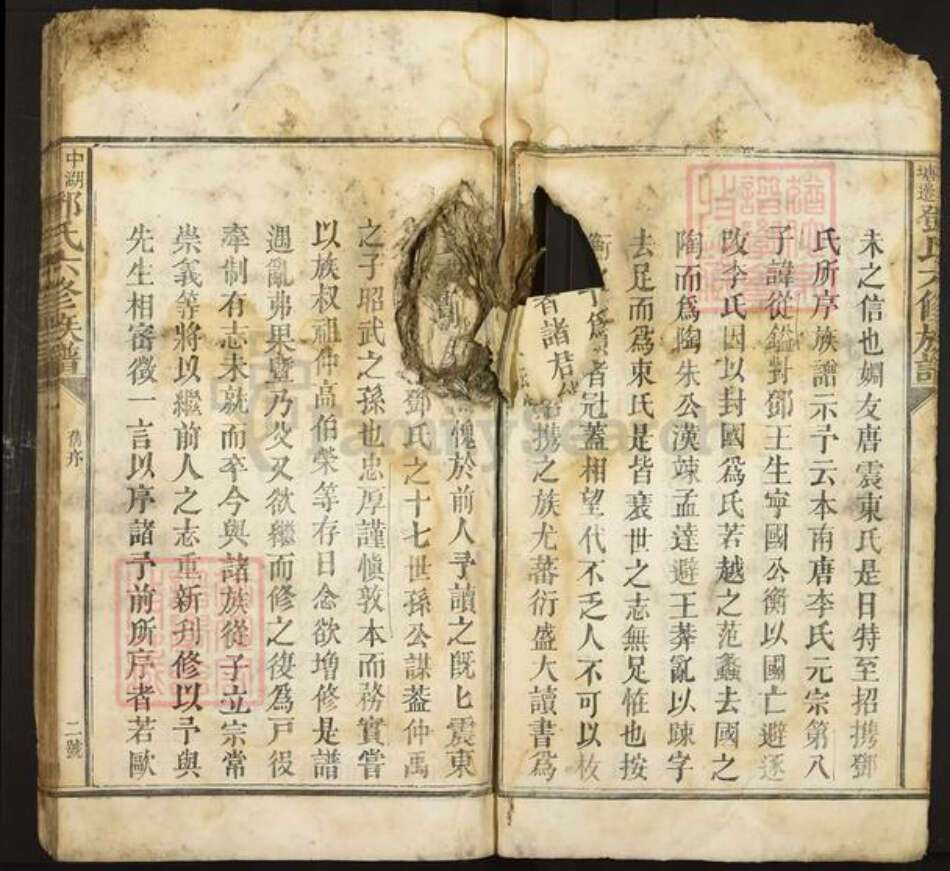 江西省抚州市黎川县宏村镇邓氏族谱-中湖塘边邓氏六修族谱.pdf电子版预览图5