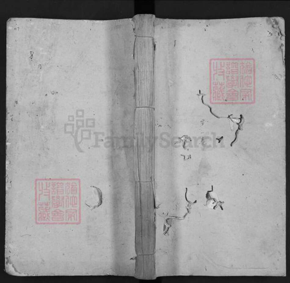 江西省宜春市袁州区邓氏南阳堂族谱-邓氏四修支谱.pdf电子版缩略图