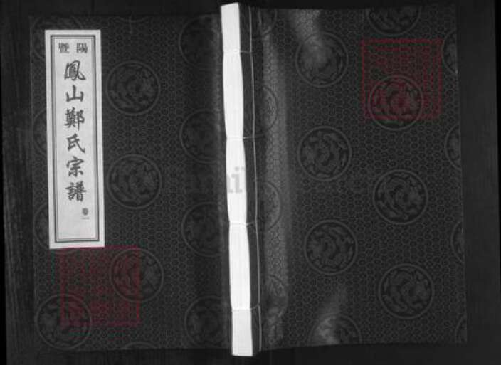 浙江省绍兴诸暨市暨阳街道邓氏七松堂族谱-暨阳凤山邓氏宗谱.pdf电子版缩略图