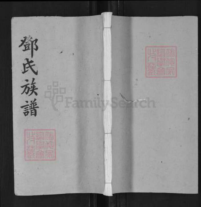 湖南省长沙市浏阳市沙市镇邓氏族谱-邓氏族谱.pdf电子版缩略图