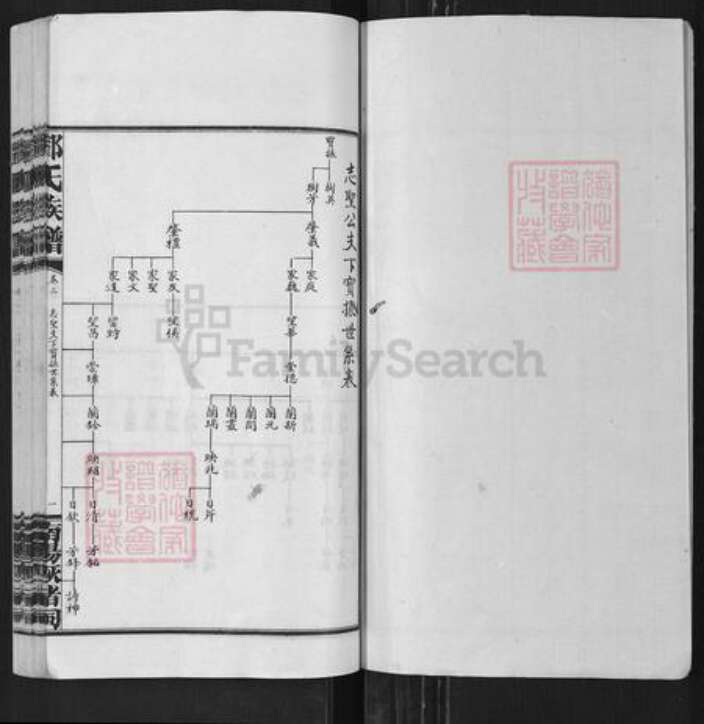 湖南省长沙市浏阳市沙市镇邓氏族谱-邓氏族谱.pdf电子版预览图1