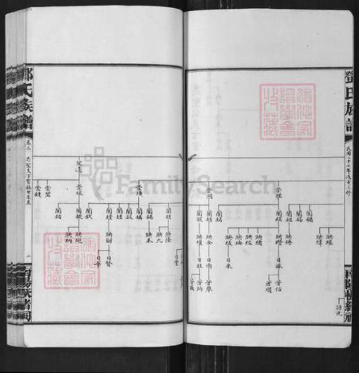 湖南省长沙市浏阳市沙市镇邓氏族谱-邓氏族谱.pdf电子版预览图2