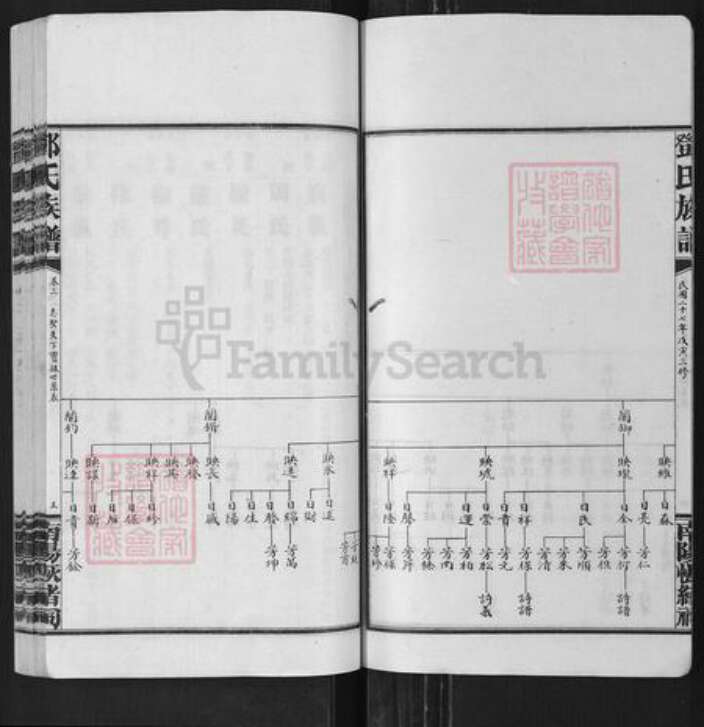 湖南省长沙市浏阳市沙市镇邓氏族谱-邓氏族谱.pdf电子版预览图5