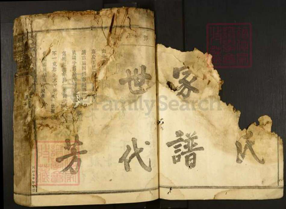 浙江省湖州安吉县邓氏族谱-楮林邓氏宗谱.pdf电子版预览图1