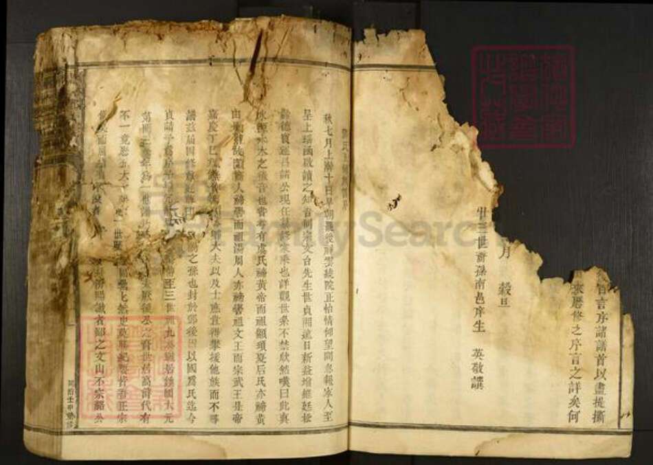 浙江省湖州安吉县邓氏族谱-楮林邓氏宗谱.pdf电子版预览图5