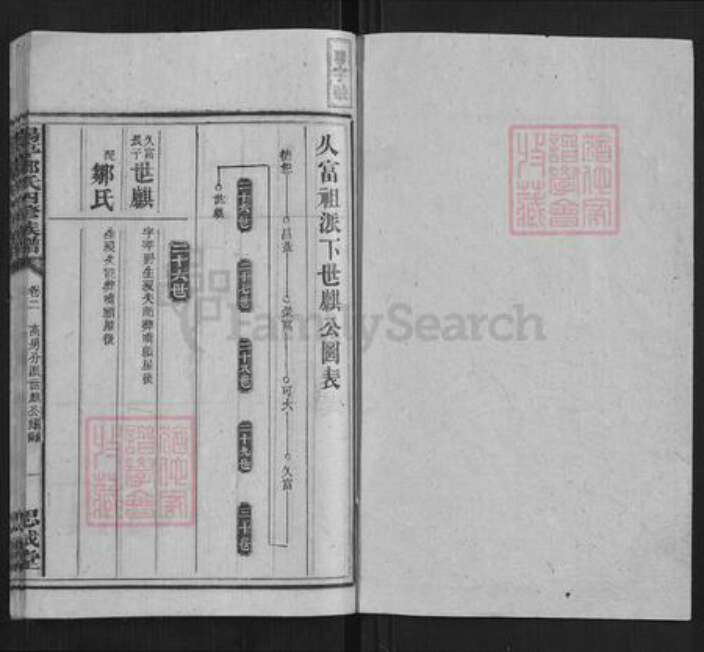 湖南省衡阳市邓氏族谱-阳亭邓氏四修族谱.pdf电子版预览图1