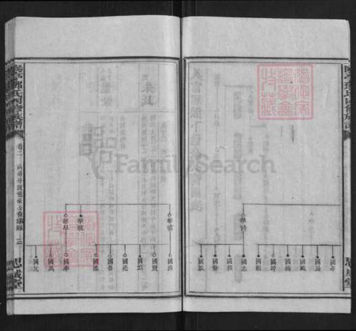 湖南省衡阳市邓氏族谱-阳亭邓氏四修族谱.pdf电子版预览图3