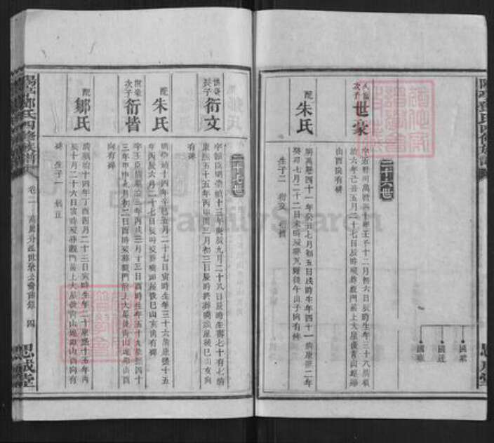 湖南省衡阳市邓氏族谱-阳亭邓氏四修族谱.pdf电子版预览图4