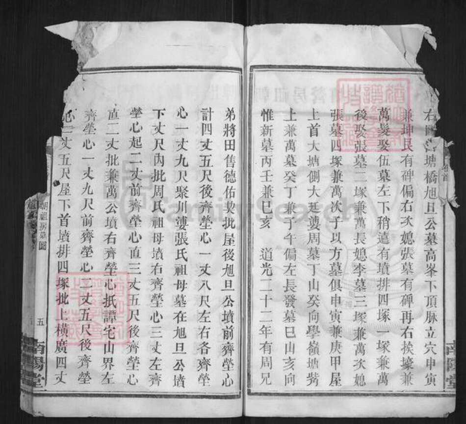 湖南省长沙市邓氏族谱-邓氏族谱.pdf电子版预览图5