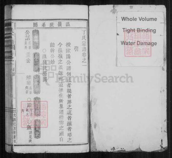 浙江省台州市温岭市温岭丁氏族谱-[浙江缙云]治前丁氏宗谱.pdf电子版预览图1