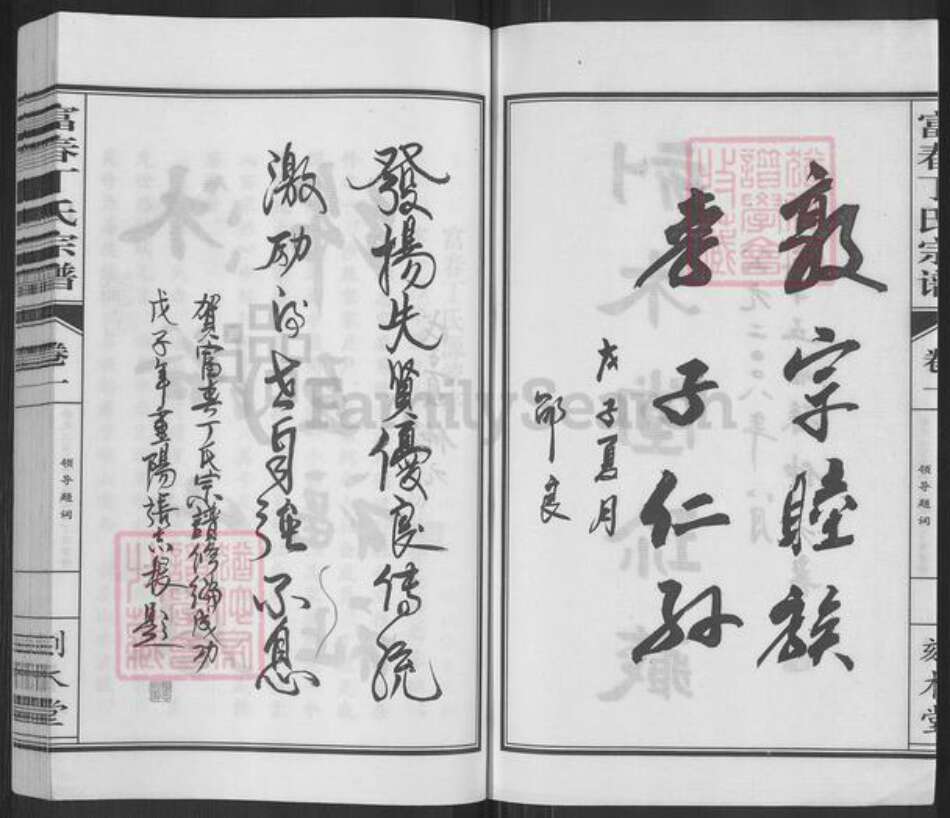 浙江省杭州市萧山区丁氏刻木堂族谱-富春丁氏宗谱.pdf电子版预览图2