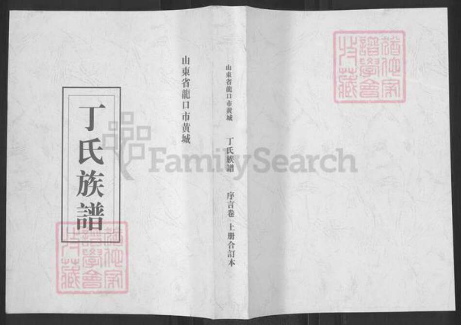 山东省烟台市龙口市丁氏族谱-丁氏族谱.pdf电子版缩略图