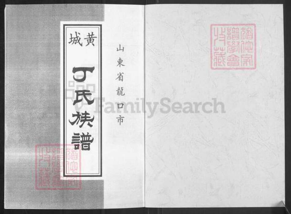 山东省烟台市龙口市丁氏族谱-丁氏族谱.pdf电子版预览图1