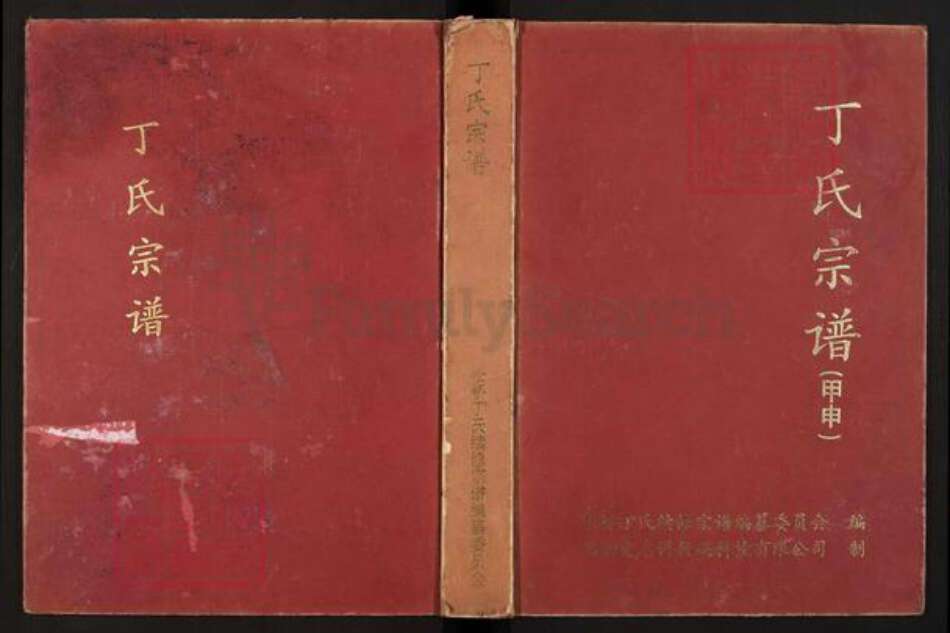 江西省鹰潭市贵溪市滨江镇丁氏族谱-丁氏宗谱.pdf电子版缩略图