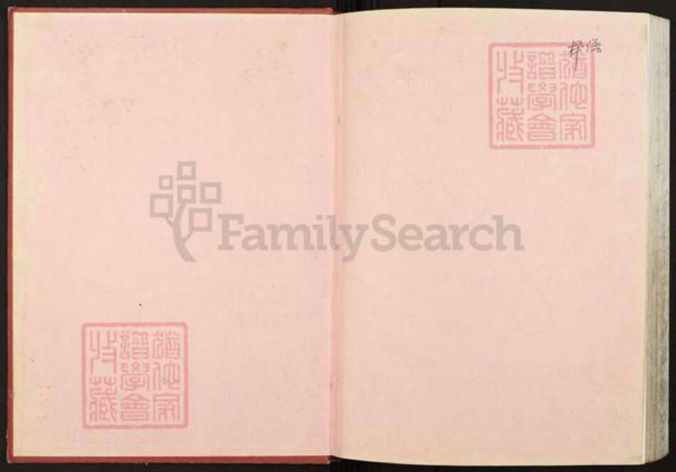 江西省鹰潭市贵溪市滨江镇丁氏族谱-丁氏宗谱.pdf电子版预览图1