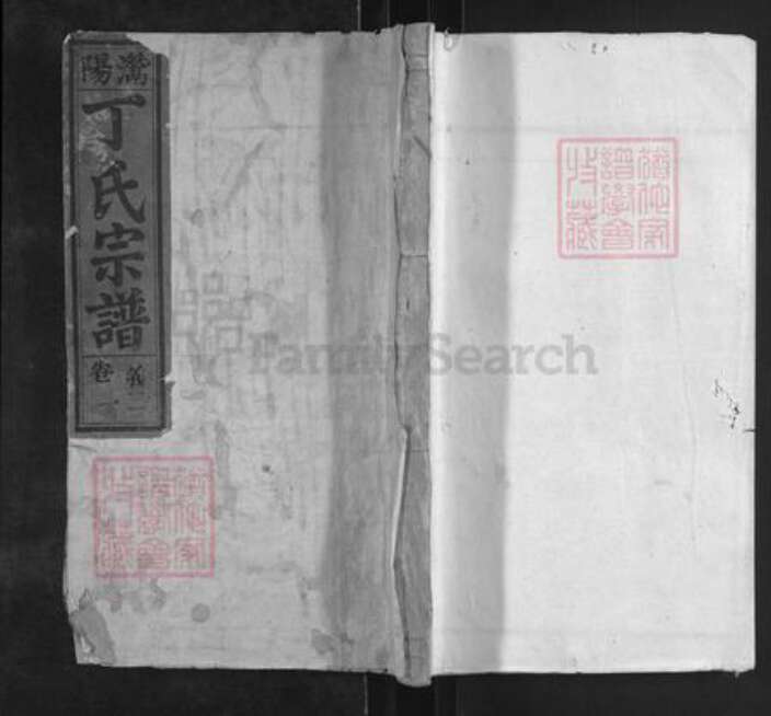 安徽省安庆市潜山市丁氏聚书堂族谱-灊阳丁氏宗谱.pdf电子版缩略图