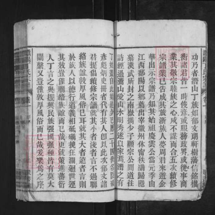 安徽省安庆市潜山市丁氏聚书堂族谱-灊阳丁氏宗谱.pdf电子版预览图2