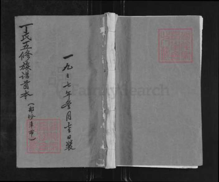 江西省赣州市瑞金市丁氏日盛堂族谱-清安丁氏五修族谱.pdf电子版缩略图