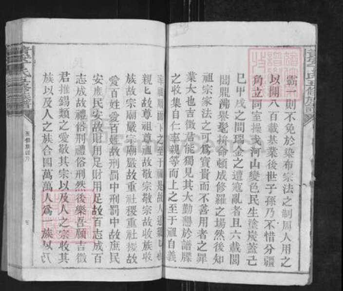 江西省赣州市瑞金市丁氏日盛堂族谱-清安丁氏五修族谱.pdf电子版预览图3