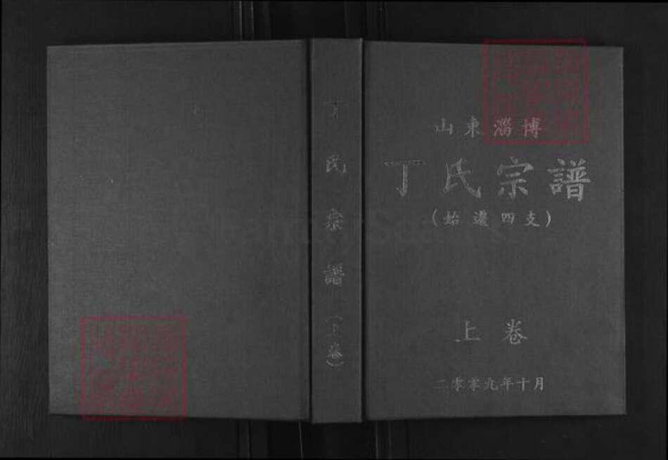 山东省淄博市博山区丁氏族谱-山东淄博丁氏宗谱.pdf电子版缩略图