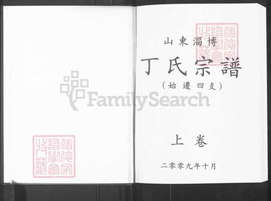 山东省淄博市博山区丁氏族谱-山东淄博丁氏宗谱.pdf电子版预览图1