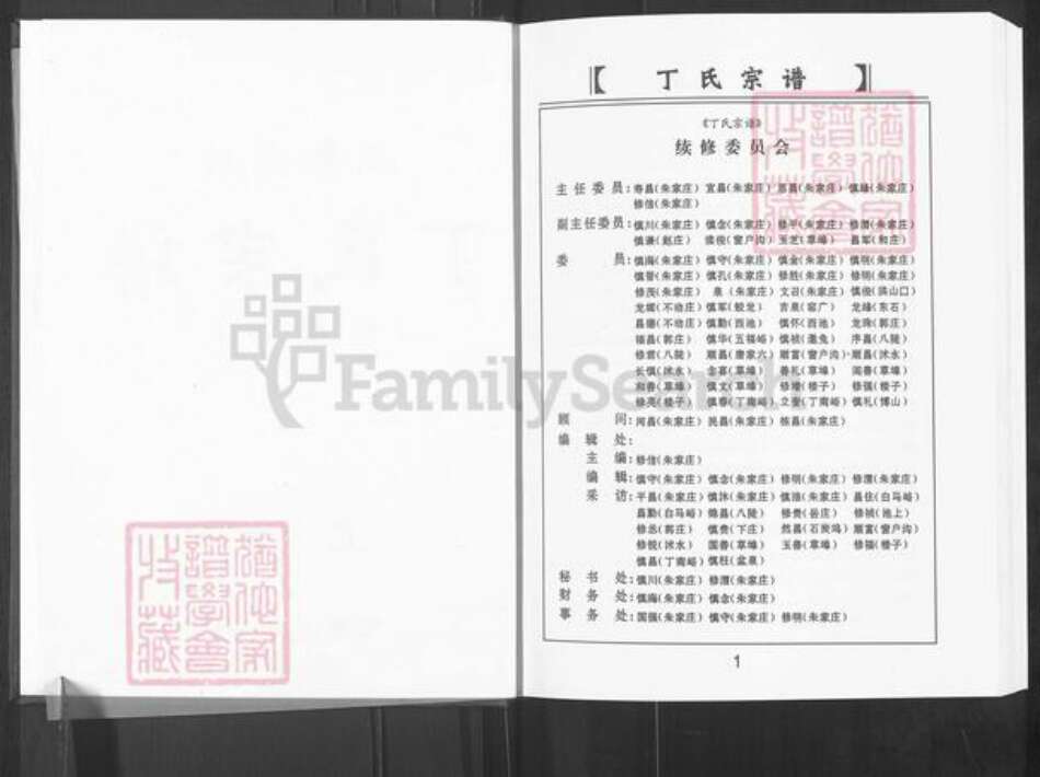 山东省淄博市博山区丁氏族谱-山东淄博丁氏宗谱.pdf电子版预览图2