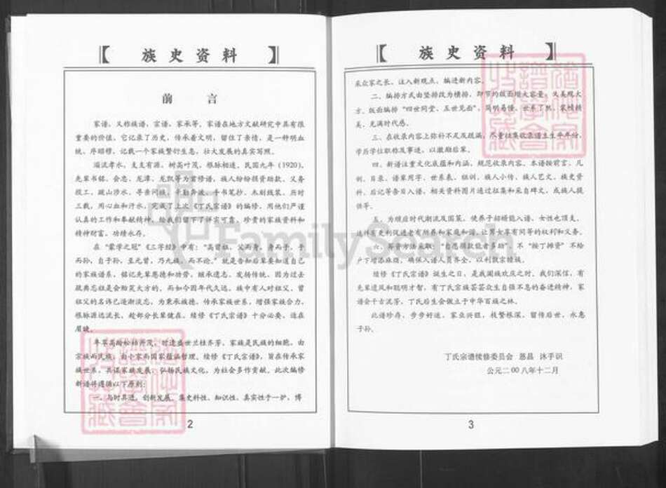 山东省淄博市博山区丁氏族谱-山东淄博丁氏宗谱.pdf电子版预览图3