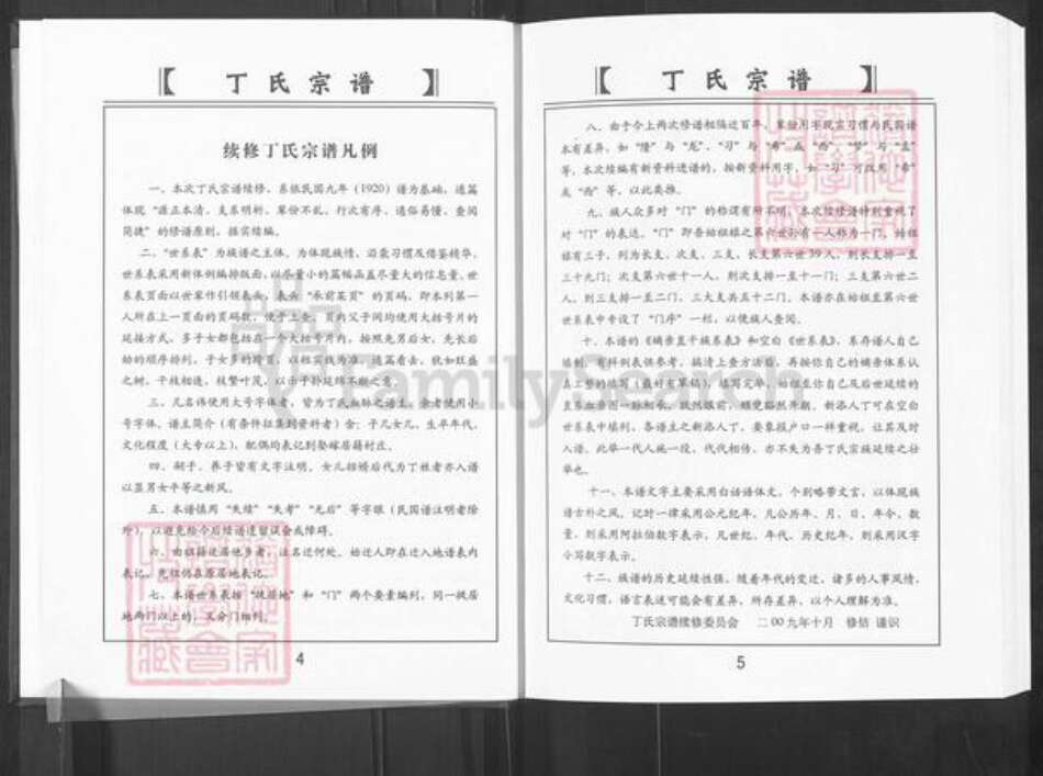 山东省淄博市博山区丁氏族谱-山东淄博丁氏宗谱.pdf电子版预览图4