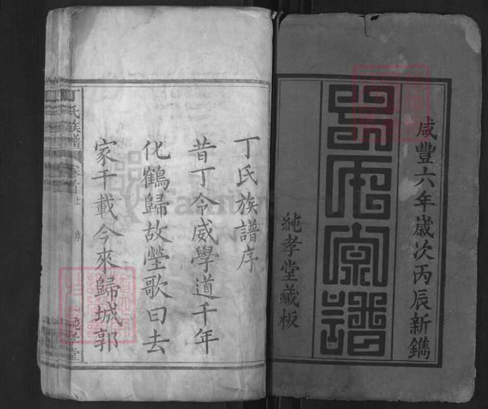 湖北省黄冈市麻城市南湖街道丁氏纯孝堂族谱-丁氏族谱.pdf电子版预览图1