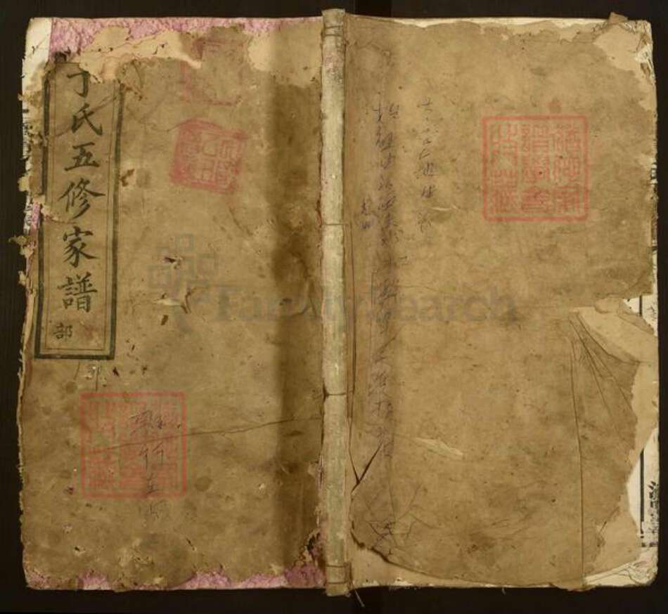 湖南省长沙市宁乡市丁氏济阳堂族谱-沩宁丁氏五修家谱.pdf电子版缩略图