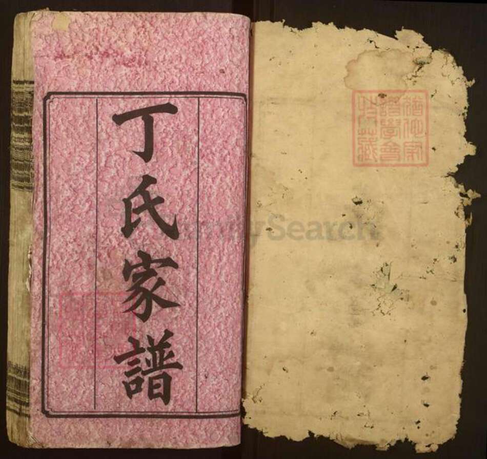 湖南省长沙市宁乡市丁氏济阳堂族谱-沩宁丁氏五修家谱.pdf电子版预览图1