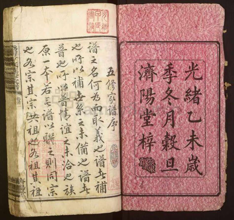 湖南省长沙市宁乡市丁氏济阳堂族谱-沩宁丁氏五修家谱.pdf电子版预览图2