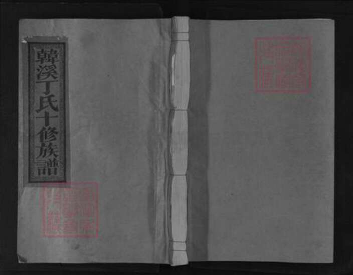 江西省抚州市临川区丁氏族谱-韩溪丁氏十修族谱.pdf电子版缩略图