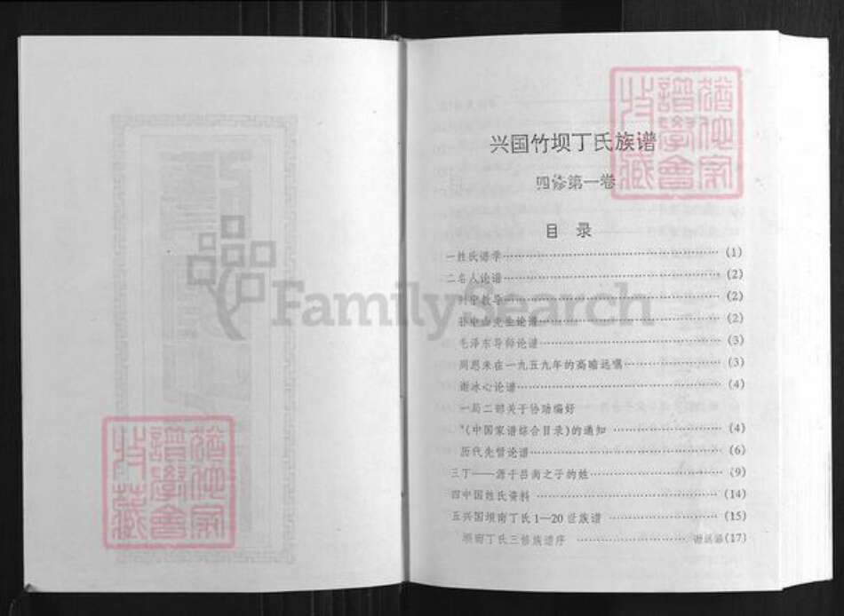 江西省赣州市兴国县江西省赣州市兴国县潋江镇丁氏族谱-兴国竹坝丁氏族谱.pdf电子版预览图3