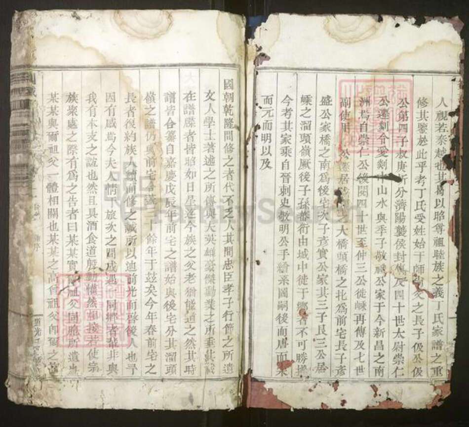 浙江省绍兴嵊州市丁氏族谱-剡城丁氏宗谱[8卷].pdf电子版预览图2