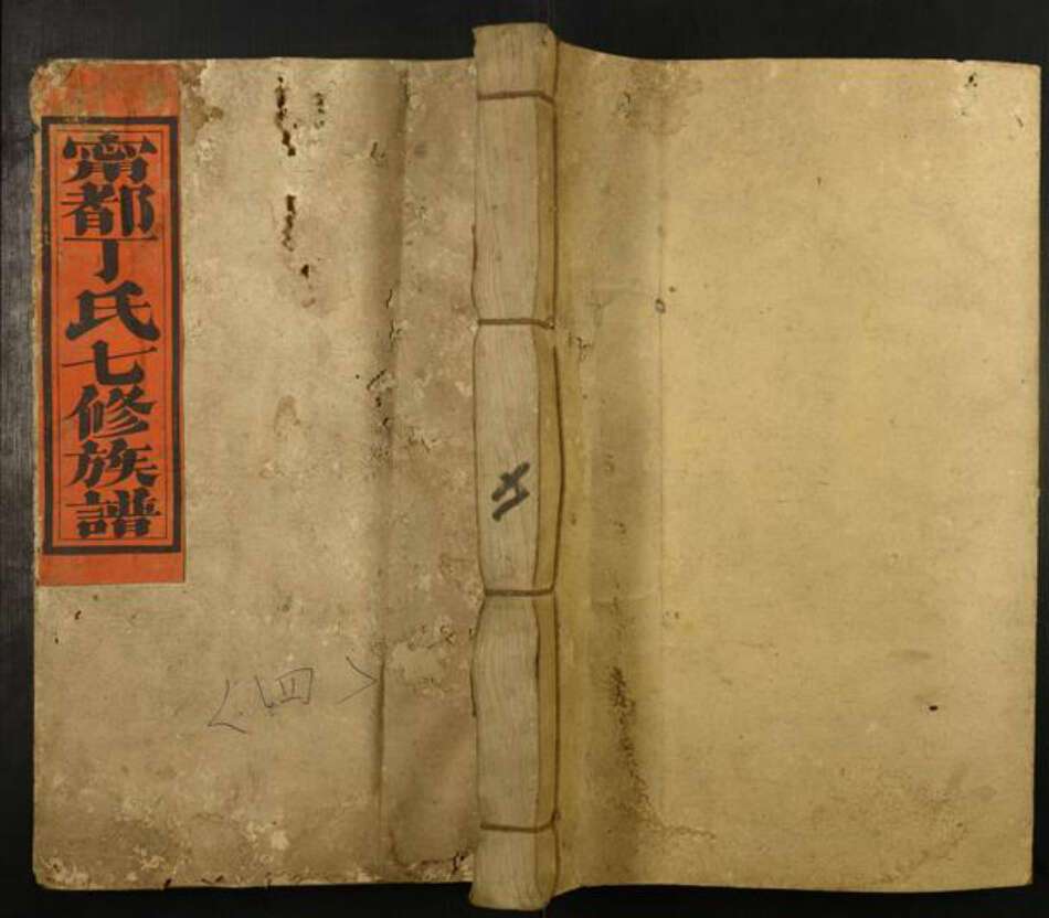 江西省丁氏族谱-宁都小布塔下丁氏七修族谱.pdf电子版缩略图