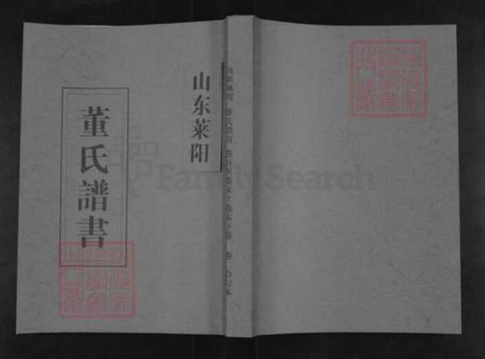 山东省烟台市莱阳市董氏族谱-董氏谱书.pdf电子版缩略图