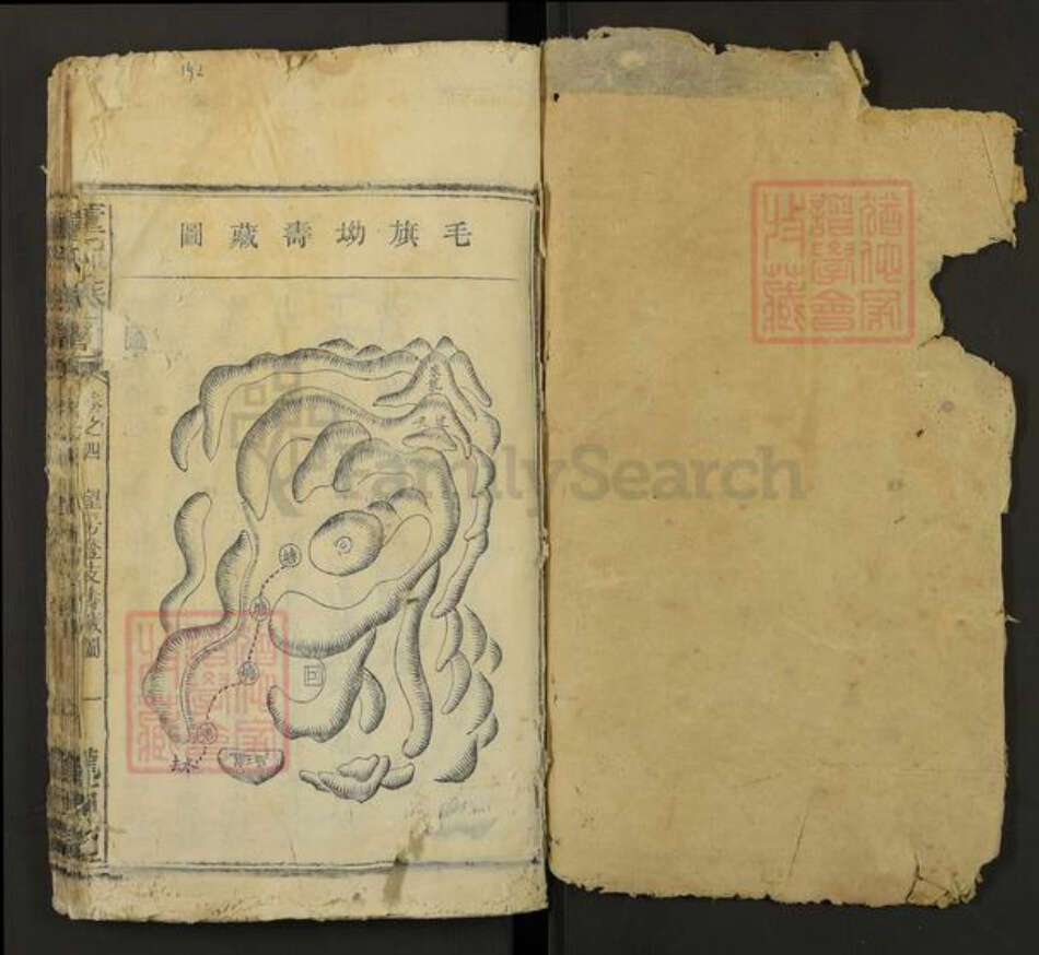 湖南省株洲市芦淞区董氏陇西堂族谱-董氏族谱.pdf电子版预览图1